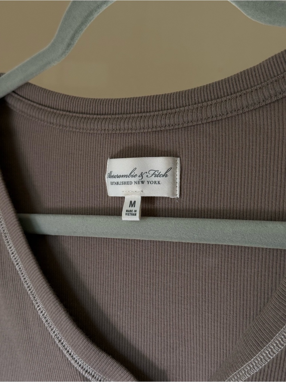 Abercrombie & Fitch Women's Ribbed V-Neck Tank Top in Taupe Brown